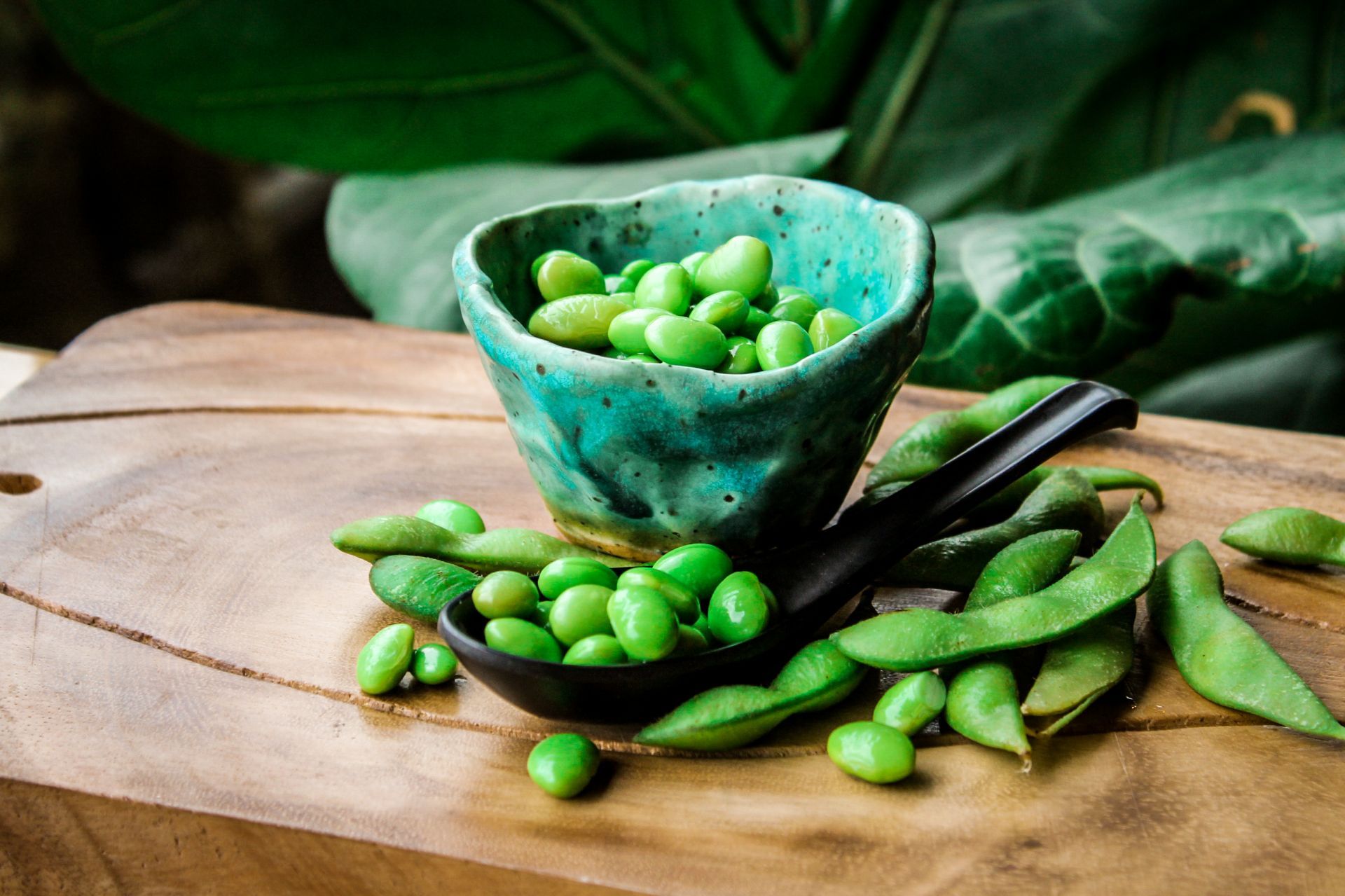 Zapraszamy do zamówień online!